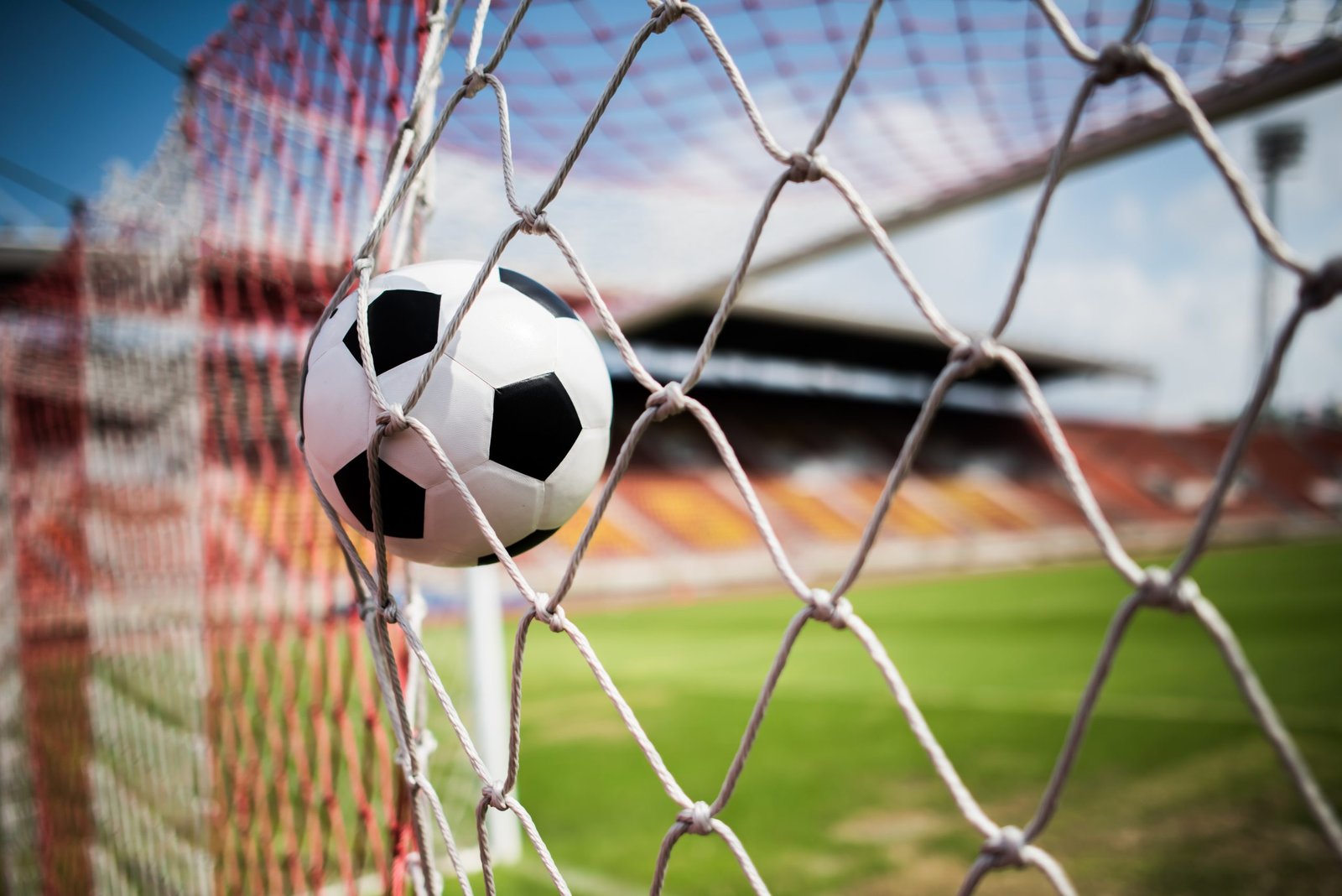 The Thrill of Team Sports: Football, Volleyball, and Beyond