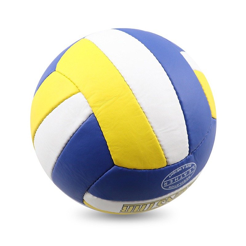 Court Master Volleyball ball blue, yellow and white panels