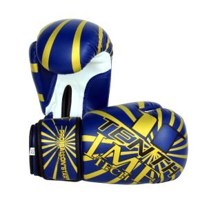 pair of boxing gloves Navy Blue and Golden